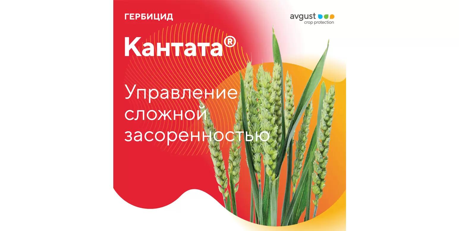 Новый гербицид для защиты зерновых