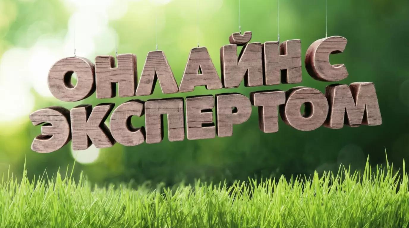 Руководитель предупрежден, значит вооружен