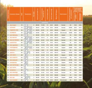 Родригес КВС - гибрид кукурузы ( Zea mays L.).