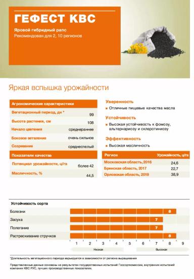 Гефест КВС  (GEFEST KWS) гибрид рапса ярового