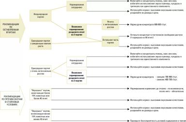 Дюдэ – Овцеводство. Гл. 15-2. Стойловое выращивание ягнят
