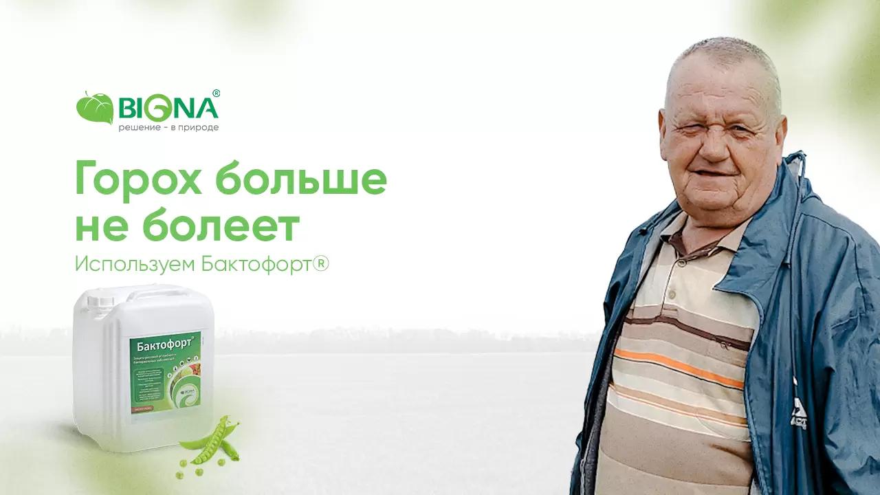 Горох больше не болеет! Применяем Бактофорт®