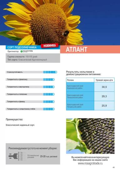 Атлант