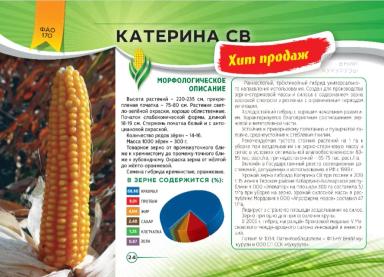Катерина СВ