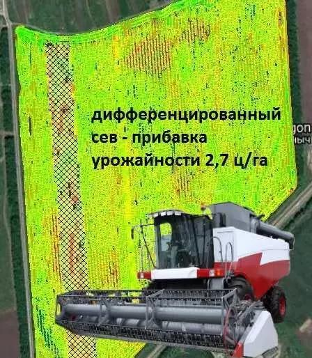 Итоги дифференцированного сева озимой пшеницы (сорт Торрилд)