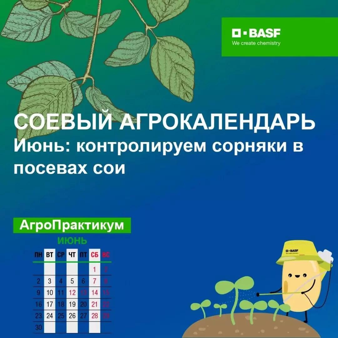 Соевый агрокалендарь: июнь