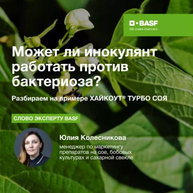 Может ли инокулянт работать против бактериоза?