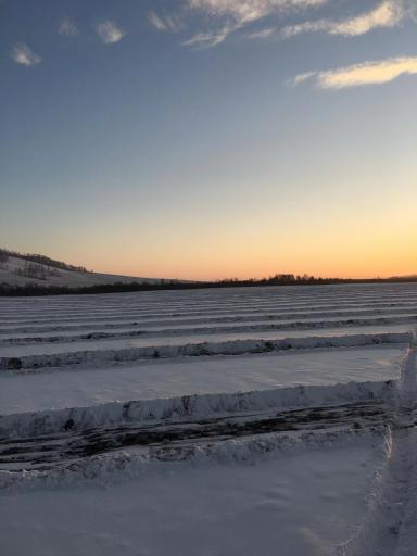Делаем снегозадержание.