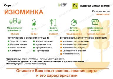 Изюминка