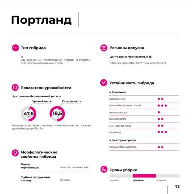 Портланд
