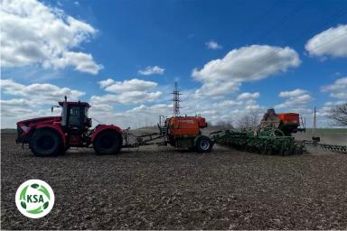 На полях "Крымского семенного Альянса" идет посевная кампания нута