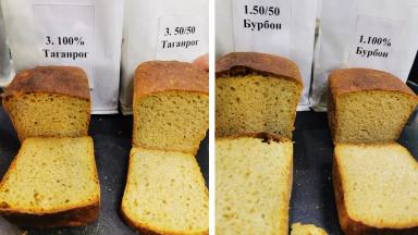 «Пшеница – это жизнь, а твердая пшеница – здоровье!»