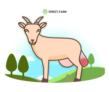 Почему у козы не выходит послед? 