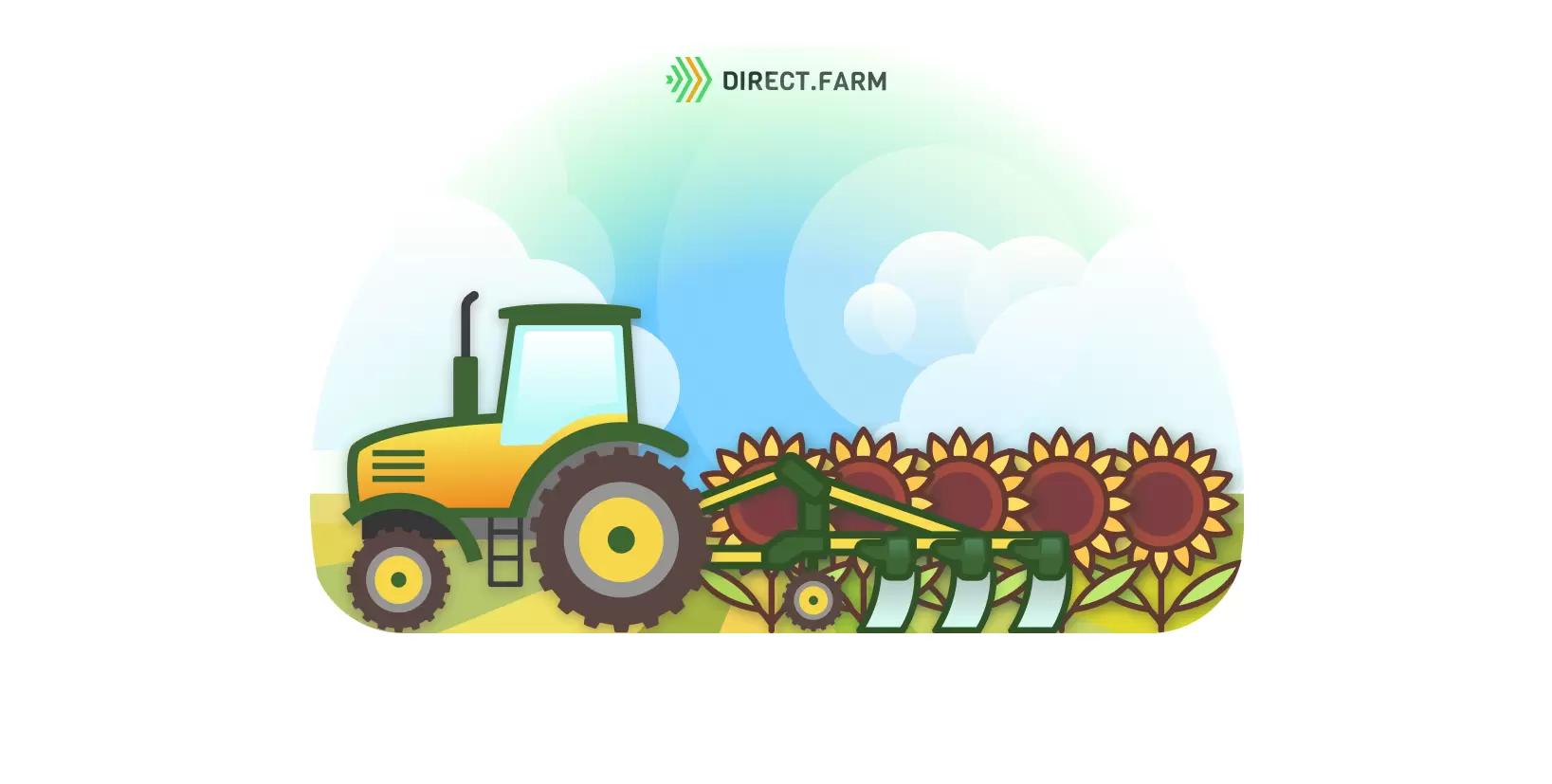 Не успели вспахать осенью