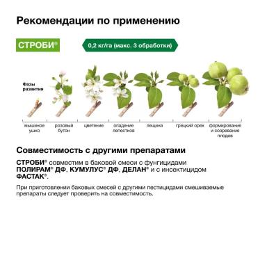 Сохранить урожай и его презентабельный вид