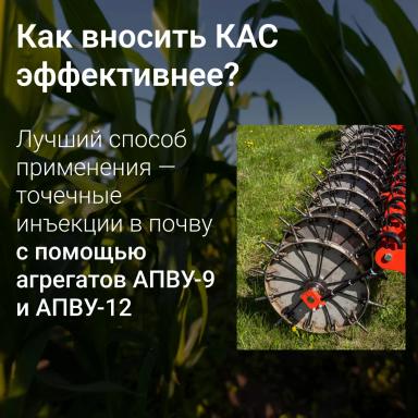 🌾 Как вносить КАС так, чтобы сохранить высокую урожайность?