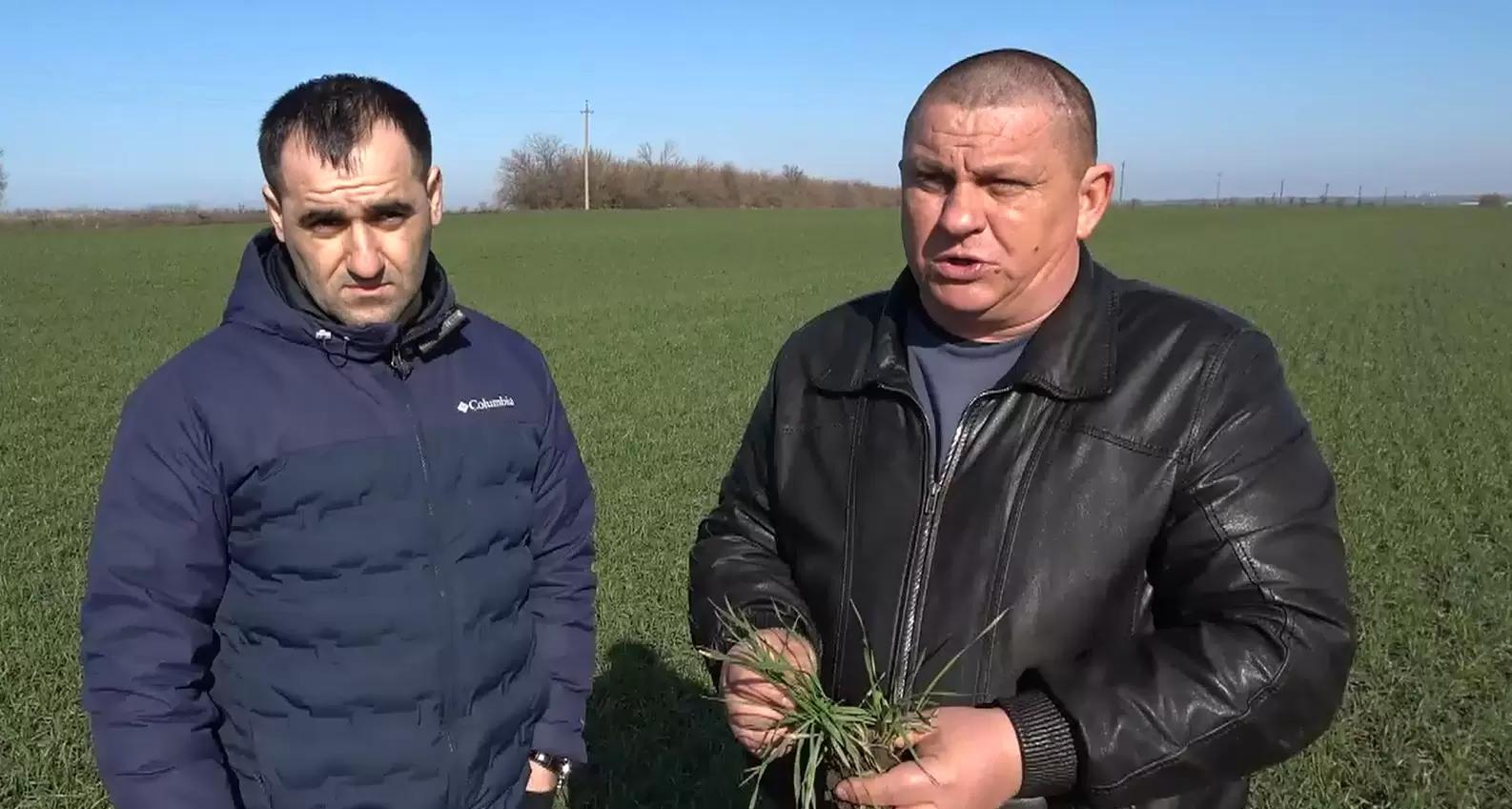 Отзыв ИП «Короленко Александр Иванович». Ростовская область, Азовский район.