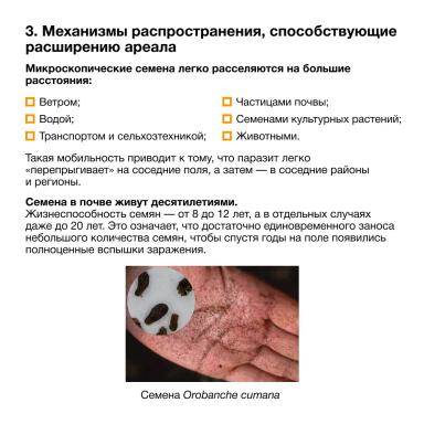 Расширение ареала заразихи подсолнечниковой