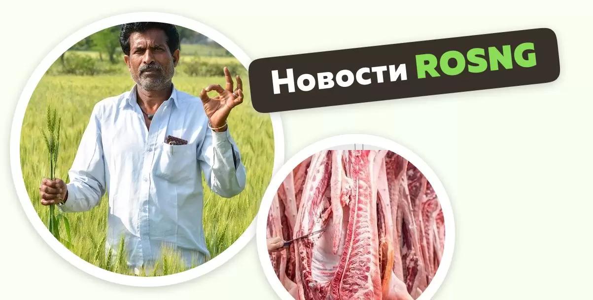 Обзор новостей за 9 апреля