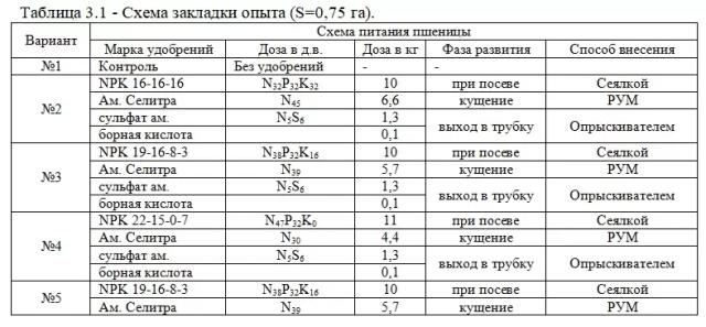 Эксперимент со схемами питания пшеницы