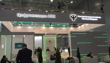 Золотая Осень 2021