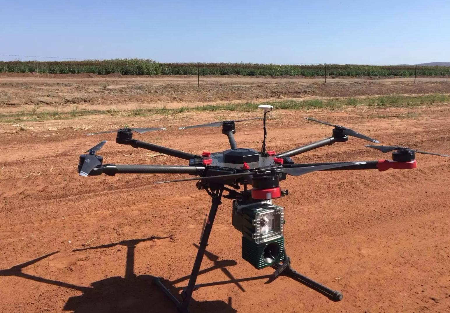 Дроны будут отгонять птиц: современное решение тысячелетней проблемы