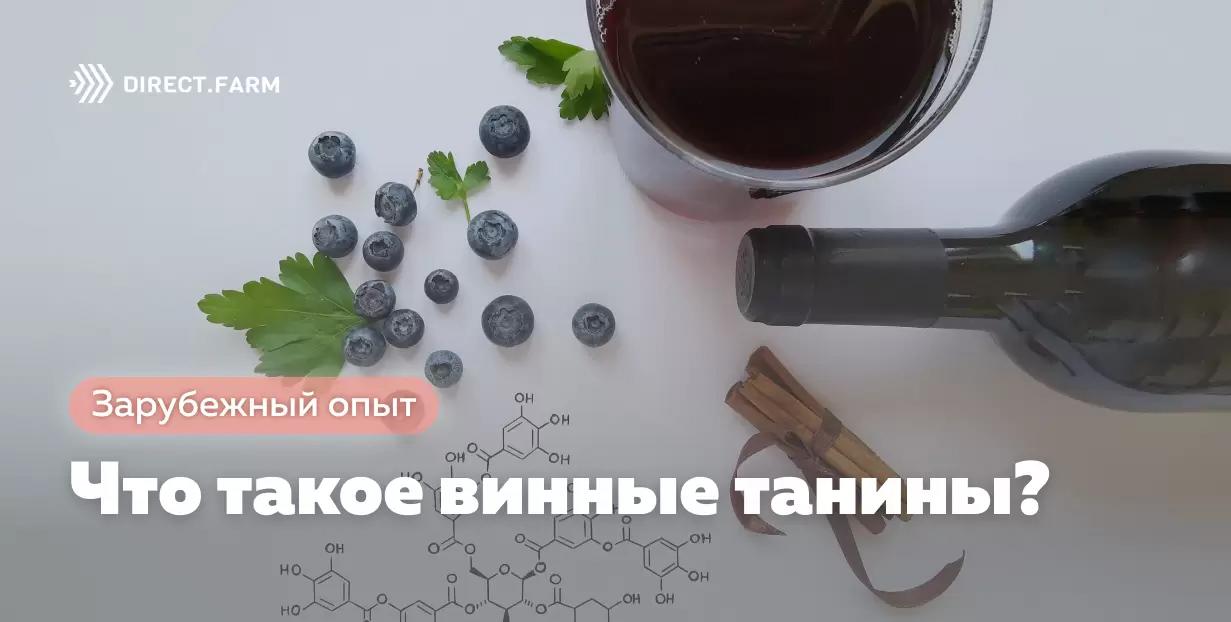 Что такое винные танины?