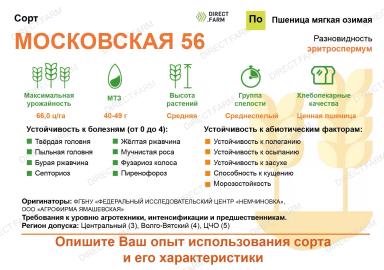 Московская 56 ® сорт мягкой озимой пшеницы