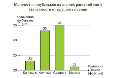 Соя "сильные семена"