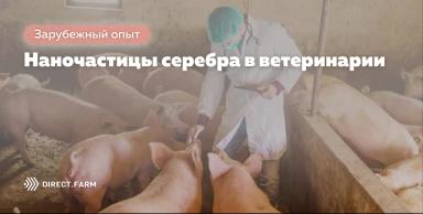 Применение наночастиц серебра в ветеринарной практике