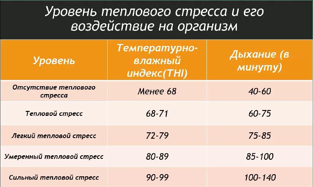 Как тепловой стресс связан с хромотой