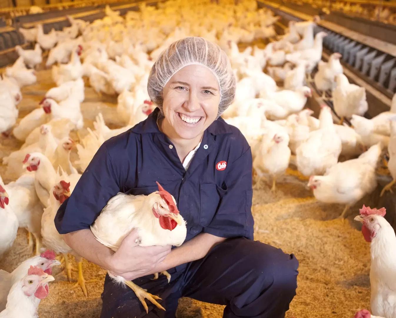 Улучшаем качество подстилки в птичнике - увеличение продуктивности на 7%!