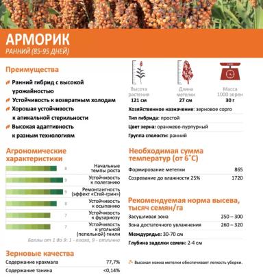 Арморик (ARMORIK)