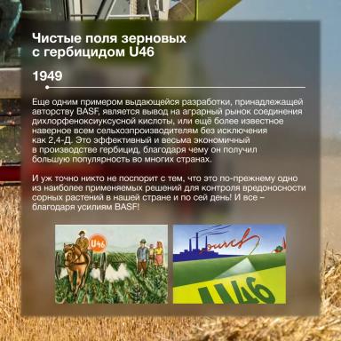 День химика