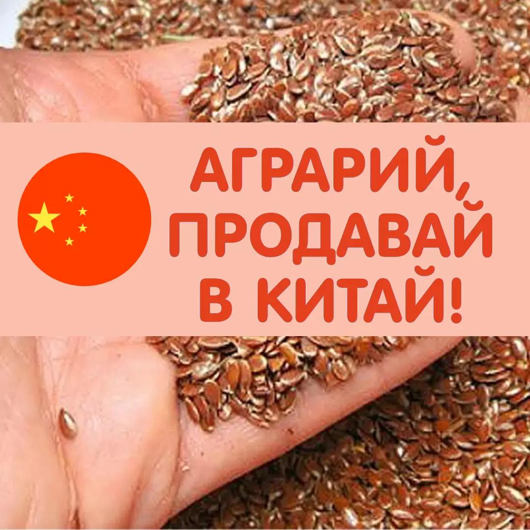 Каждый аграрий может продать выращенную продукцию в Китай.