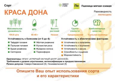Краса Дона ® сорт мягкой озимой пшеницы