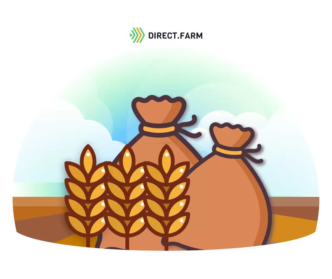 Какие дозы удобрений вносить на парах?