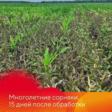 Работает Фултайм®