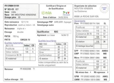 Дюдэ – Овцеводство. Гл. 6. Генетическое улучшение. Ч. 3