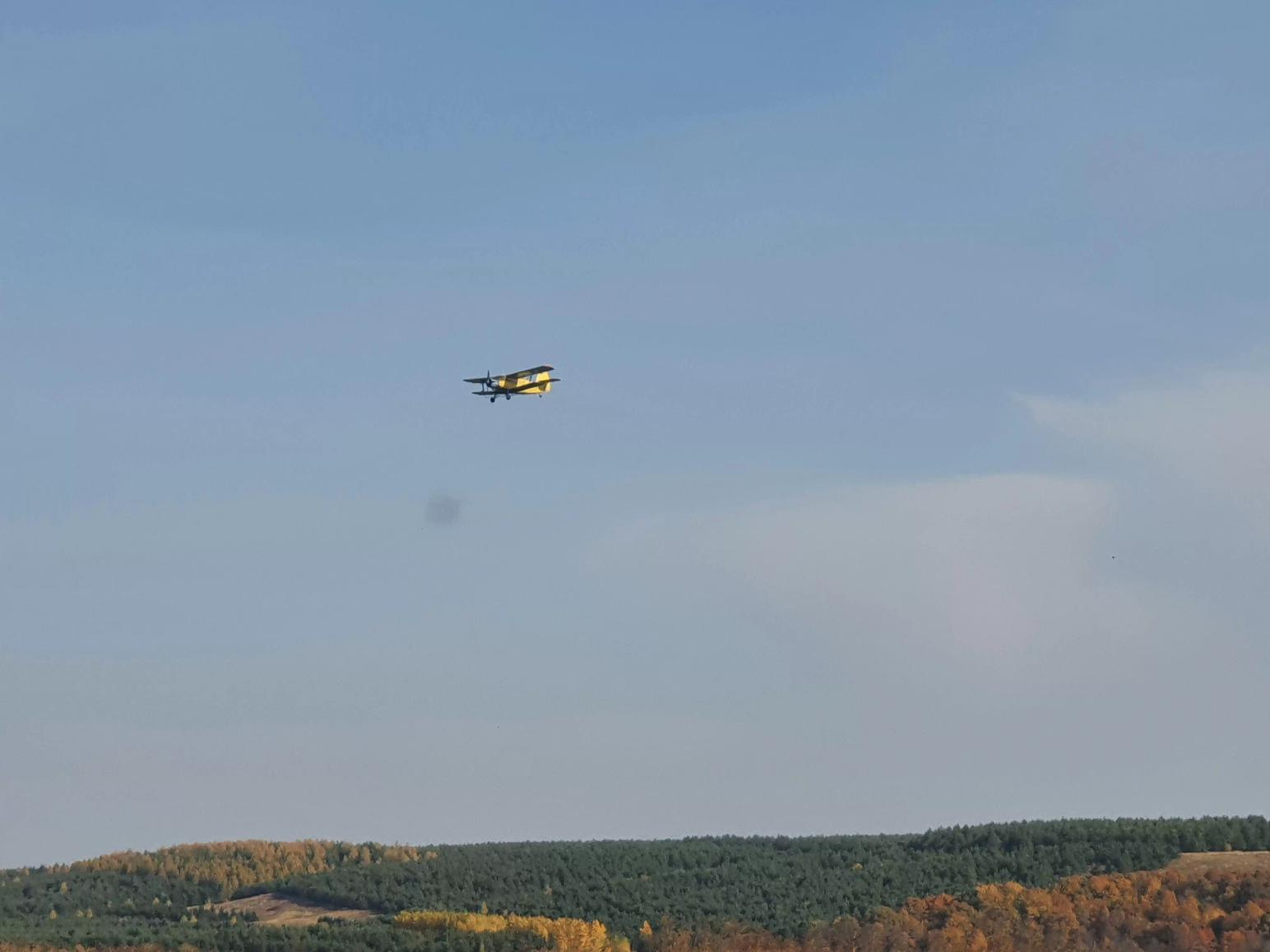 новости с полей