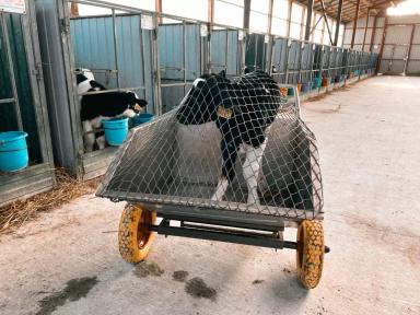 Чем мы занимаемся?