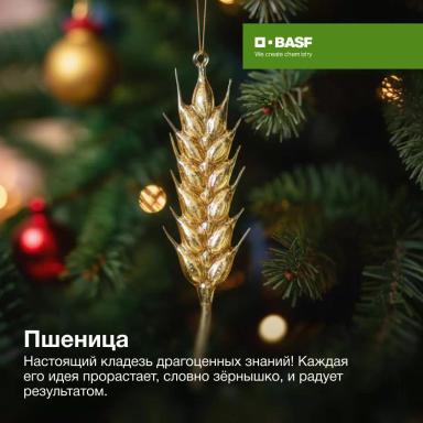 Какая вы культура?