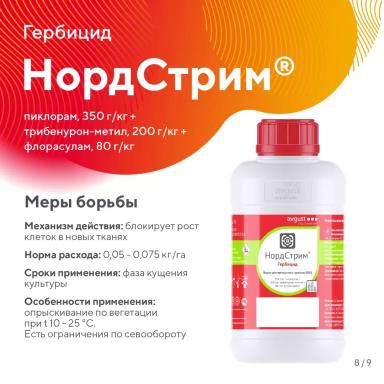 «Вредный объект? У «Августа» ответ!» – осот розовый в посевах зерновых
