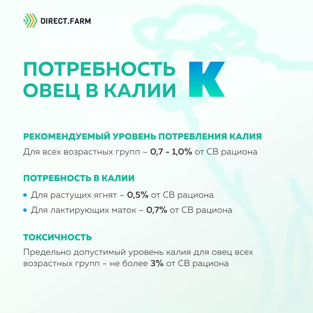 Потребность овец в калии