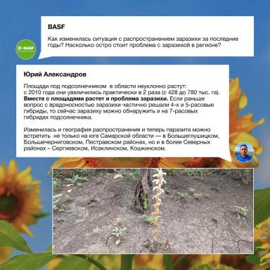 Заразиха в Самарской области