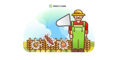 Энтомологический сачок