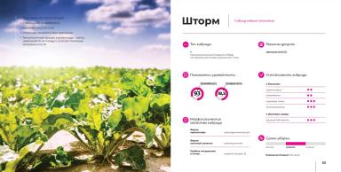Шторм гибрид сахарной свеклы