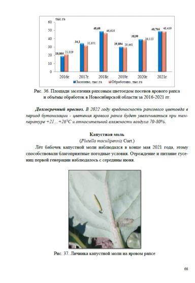 Обзор фитосанитарного состояния Новосибирской области и прогноз на 2022 год