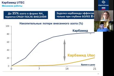 Мифы об азотном питании и азотных удобрениях