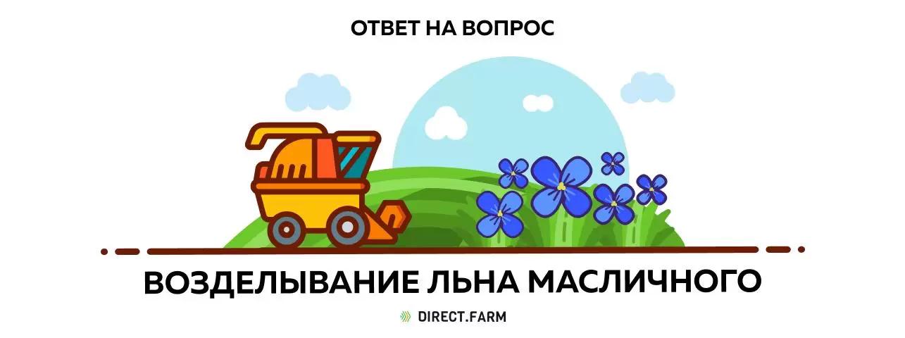 Технология возделывания льна масличного